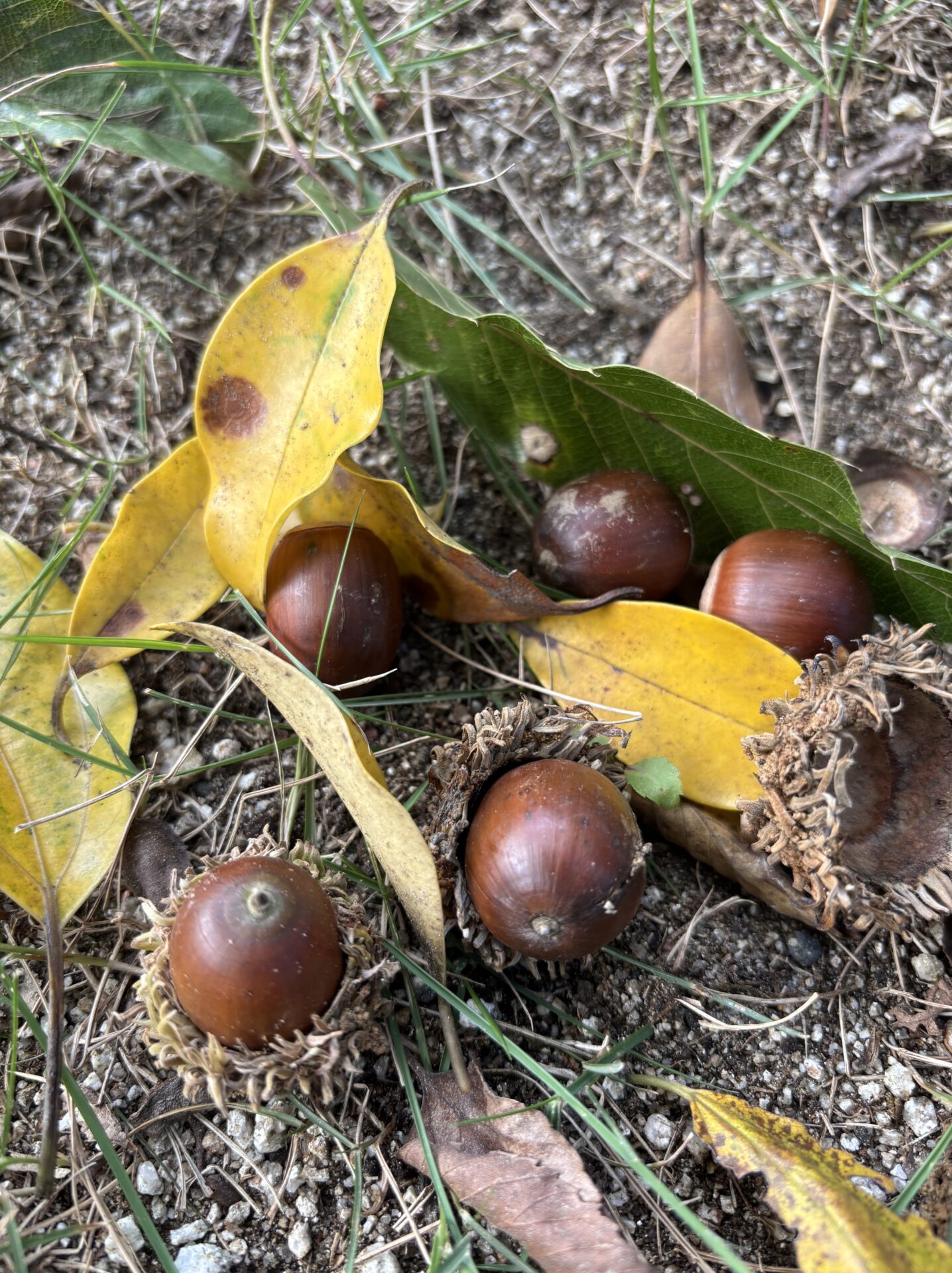 ニュース内容のイメージ画像