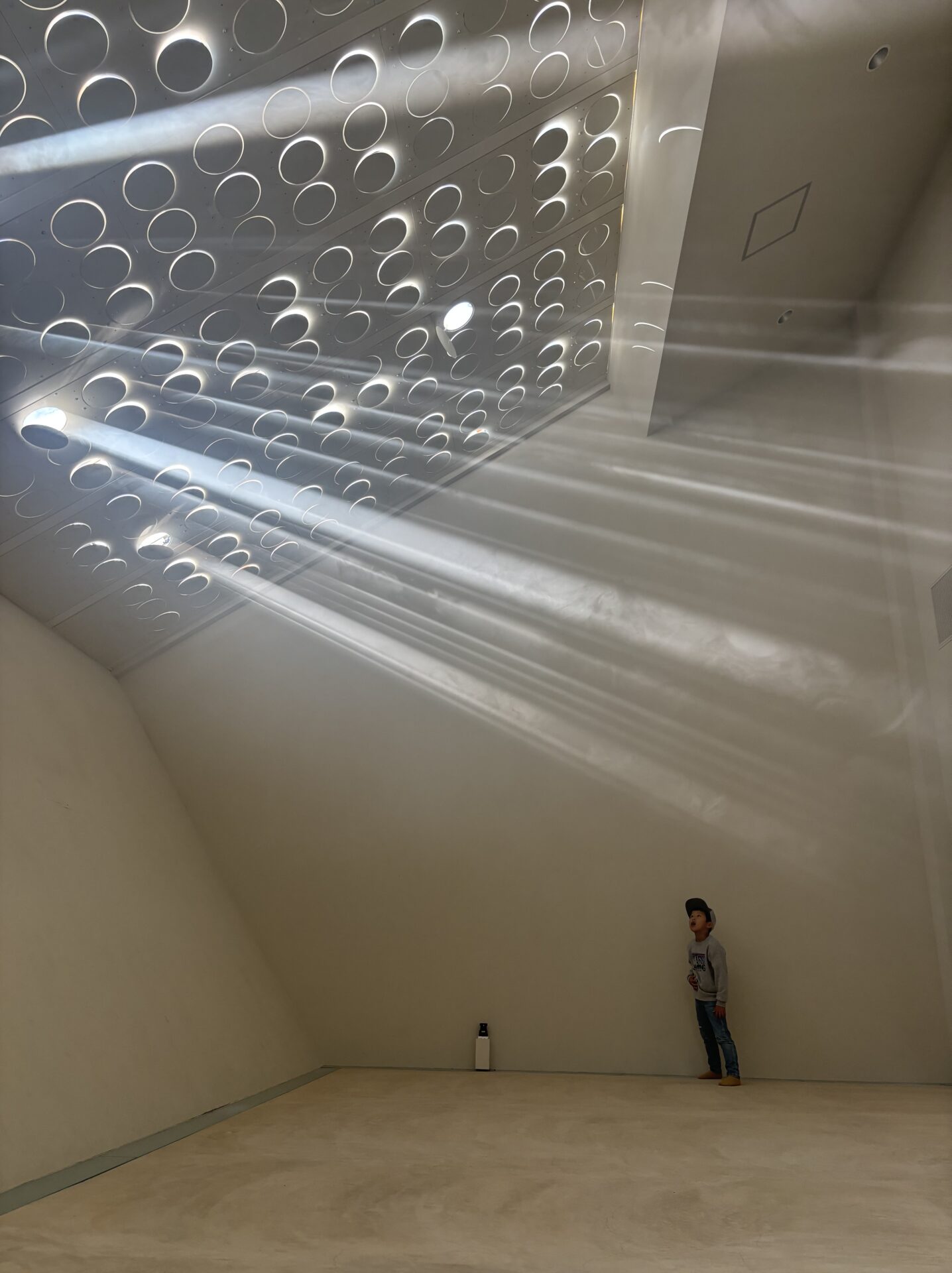 不均質な自然と人の美術館